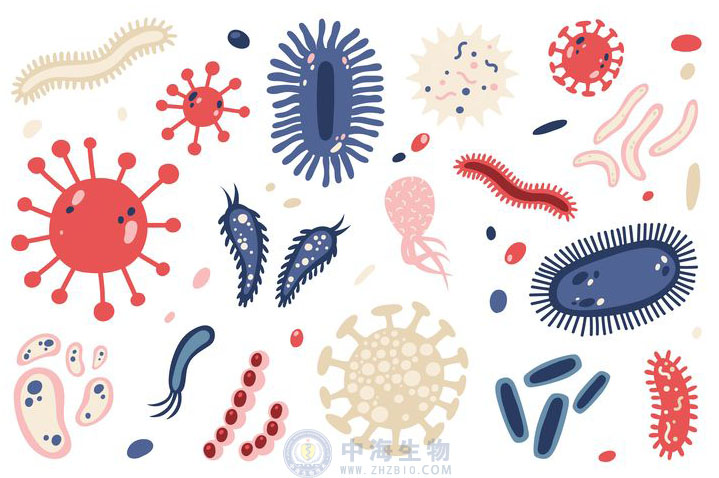 微生物是什么？哪些營養(yǎng)物質促進微生物生長繁殖？