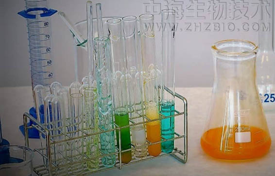 淺談培養(yǎng)基保存放置需注意四個方面？